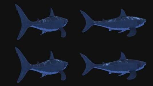 影视级三维鲨鱼水底动画合成特效 (5)高清在线视频素材下载
