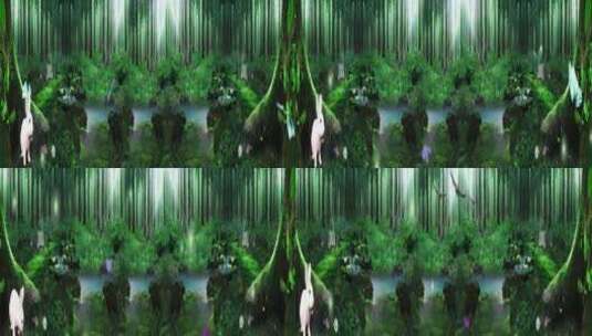 森林小白兔 绿光森林 动物园 唯美梦幻高清在线视频素材下载