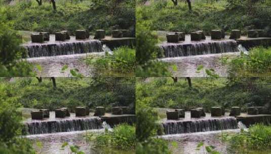 小溪流水高清在线视频素材下载