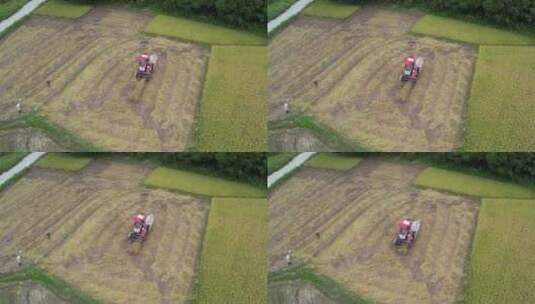 水稻农田机械化丰收航拍高清在线视频素材下载