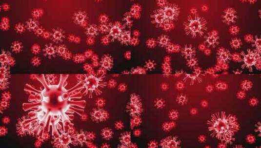 科研下的新冠病毒肺炎细胞动画高清在线视频素材下载