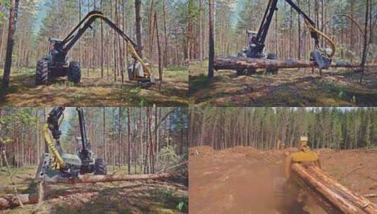 伐木机砍伐树木高清在线视频素材下载