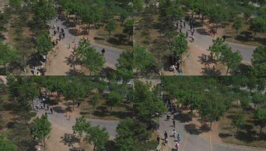 斯巴达勇士少年儿童户外体育运动比赛高清在线视频素材下载