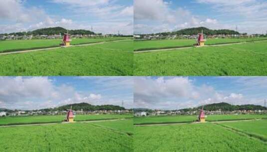 夏日里绿油油的稻田风车美丽的乡村田野航拍高清在线视频素材下载