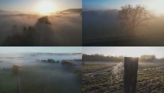 航拍浓雾森林春季清晨晨雾气日出丁达尔阳光高清在线视频素材下载