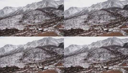 青海 雪山 4k 高山 青藏高原 冬天 牧场高清在线视频素材下载