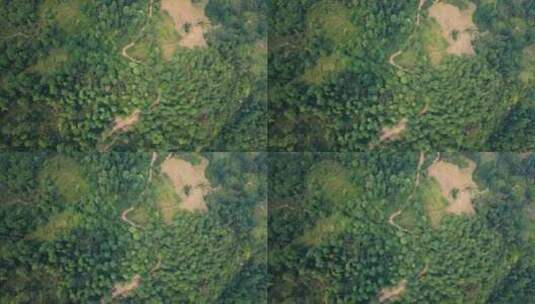 从空中俯瞰越南丛林中的河流脉络。东南亚。高清在线视频素材下载