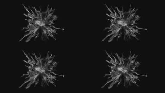 4K烟雾圆心圆环向外扩散粒子视频素材 (27)高清在线视频素材下载