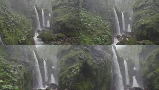 丛林中的瀑布高清在线视频素材下载