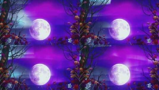 月亮和鲜花高清在线视频素材下载