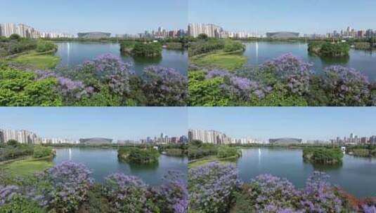 成都高新区锦城湖公园环球中心高清在线视频素材下载