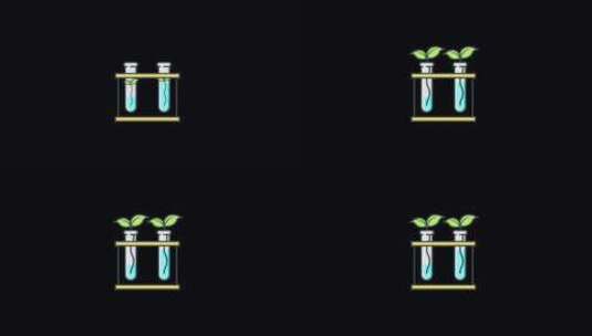 动画植物学包括阿尔法高清在线视频素材下载
