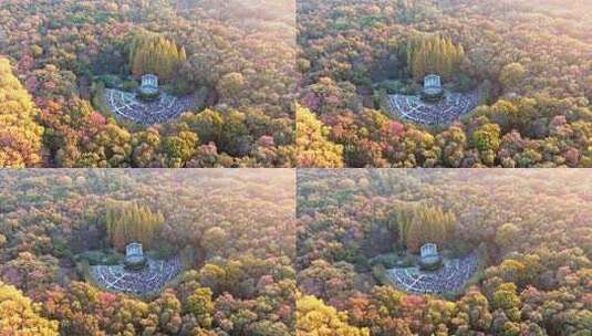 南京秋天 音乐台 中山 钟山风景区高清在线视频素材下载