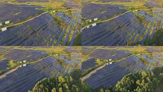 山坡上太阳能光伏发电站航拍高清在线视频素材下载