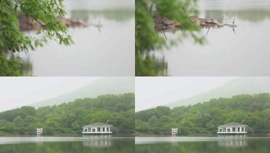 水边绿叶的自然风光景象高清在线视频素材下载