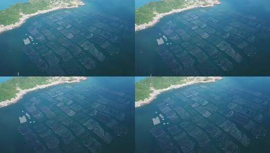 浙江舟山枸杞岛海上牧场风光航拍高清在线视频素材下载