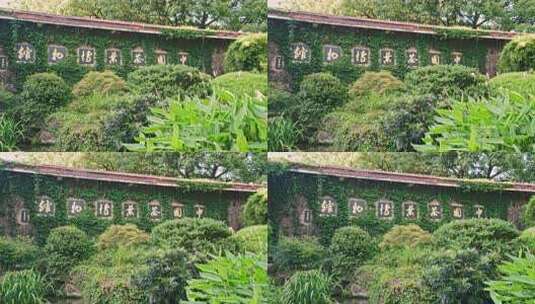 杭州茶叶博物馆入口牌匾 中国茶文化高清在线视频素材下载