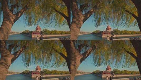 北京秋天秋季的故宫角楼高清在线视频素材下载