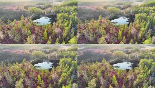 达尔滨湖火山熔岩台地湿地水泡高清在线视频素材下载