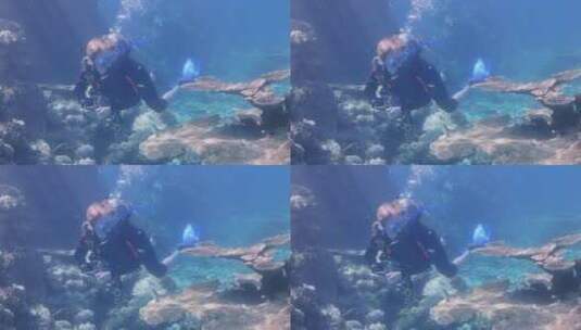 潜水员在暗礁潜水高清在线视频素材下载