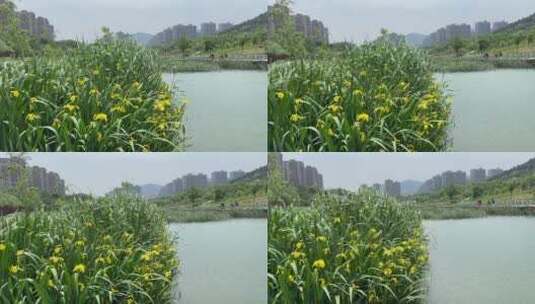 济南凤凰湖水库风光，龙洞风景区高清在线视频素材下载