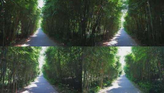 公园里的阳光竹林小路高清在线视频素材下载