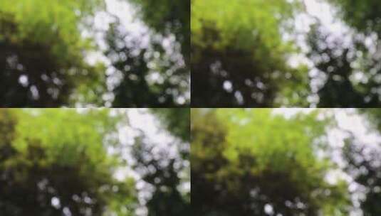 树林叶子模糊效果低角度拍摄高清在线视频素材下载