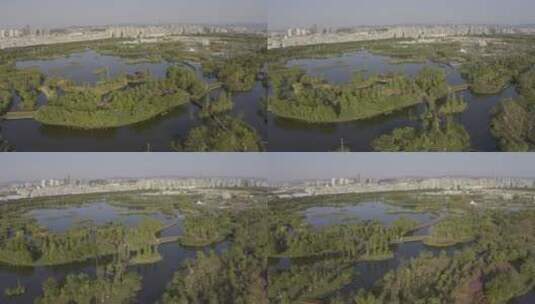 航拍昆明呈贡斗南湿地公园高清在线视频素材下载