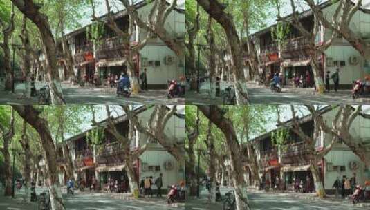 95 杭州 街道 绿荫 行人 安静高清在线视频素材下载