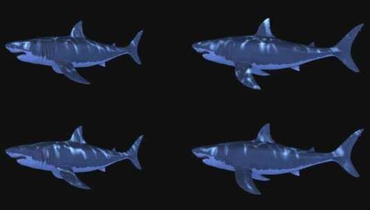 影视级三维鲨鱼水底动画合成特效 (6)高清在线视频素材下载