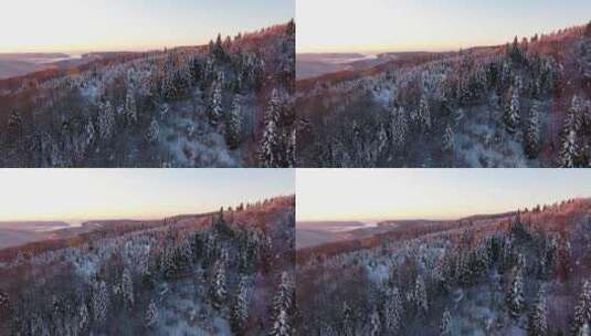 航拍森林雪景后太阳落日夕阳高清在线视频素材下载
