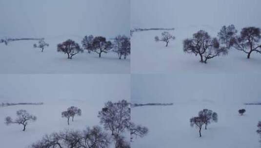 草原雪景高清在线视频素材下载