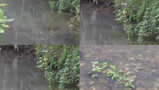 山间溪水高清在线视频素材下载