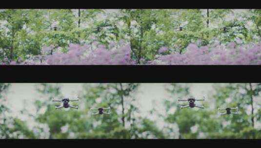 4K大疆无人机在公园 升格 空镜 broll高清在线视频素材下载