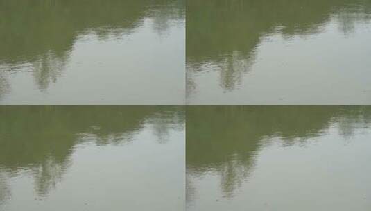 湖泊湖面波纹高清在线视频素材下载