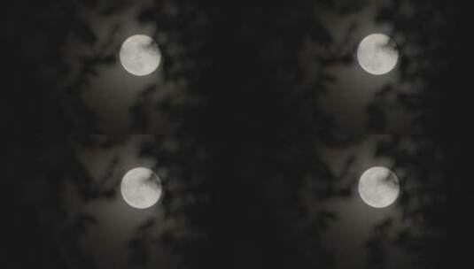 月亮意境 圆月 月光 月色高清在线视频素材下载