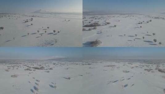 呼伦贝尔冬季湿地公园，额尔古纳河_0285高清在线视频素材下载