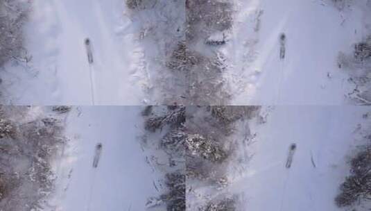 森林树林道路上滑动的机动雪橇高清在线视频素材下载
