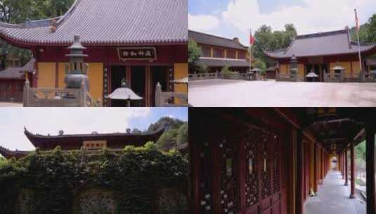 杭州西湖中天竺寺法净寺江南寺庙4K视频合集高清在线视频素材下载