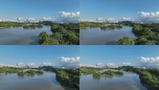 4K深圳南山区华侨城湿地公园航拍高清在线视频素材下载