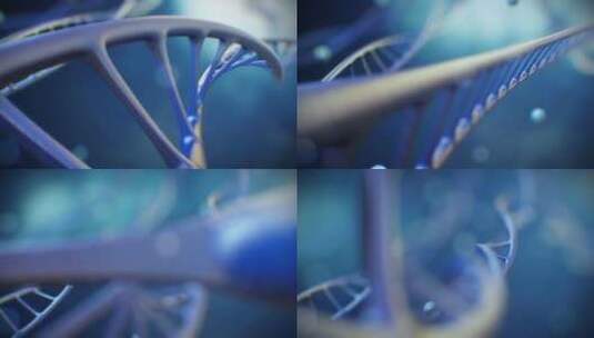 DNA链的螺旋旋转高清在线视频素材下载