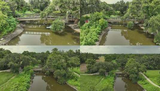 新奥尔良城市公园小溪上的一座桥的反向展示。高清在线视频素材下载
