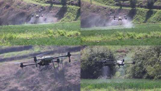 无人机操作手操作大疆植保无人机洒农药高清在线视频素材下载