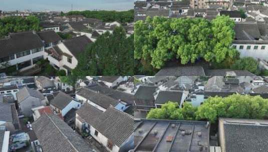 同里古镇清晨航拍高清在线视频素材下载