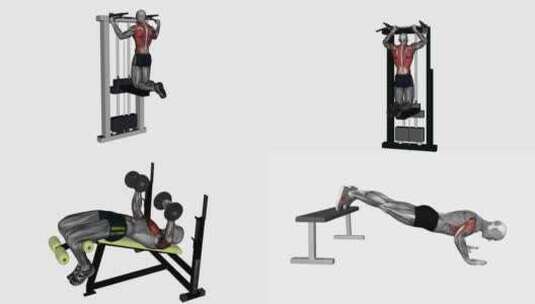 人体肌肉健身运动演示动画健身器材锻炼3D高清在线视频素材下载