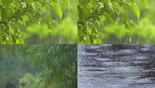 【合集】下雨 雨水落在树叶 地上高清在线视频素材下载