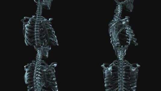 医学架构的人体骨骼高清在线视频素材下载
