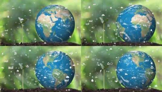 植物生长和全球信息数据地球概念高清在线视频素材下载