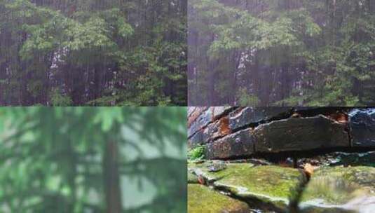 下雨梅雨高清在线视频素材下载