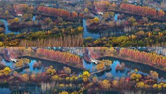 西安浐灞渭河湿地公园秋景高清在线视频素材下载